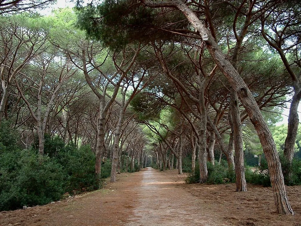 Casale Gli Ulivi Villa Orbetello Farm stay